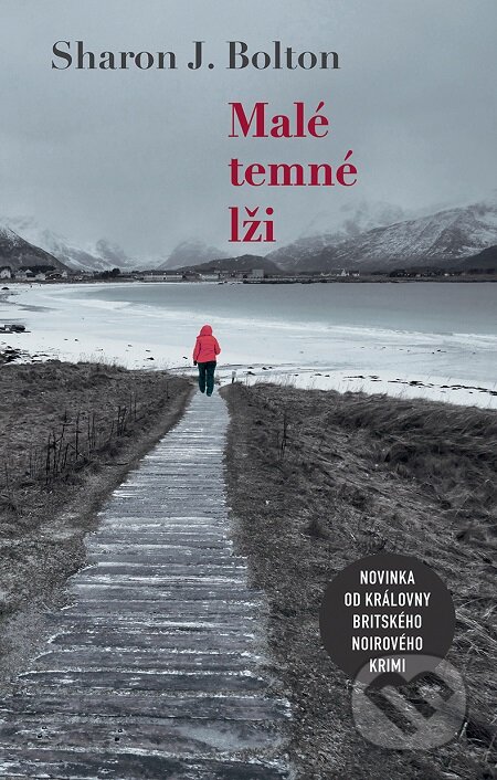 E-kniha: Malé temné lži (Sharon J. Bolton). Domino, 2019