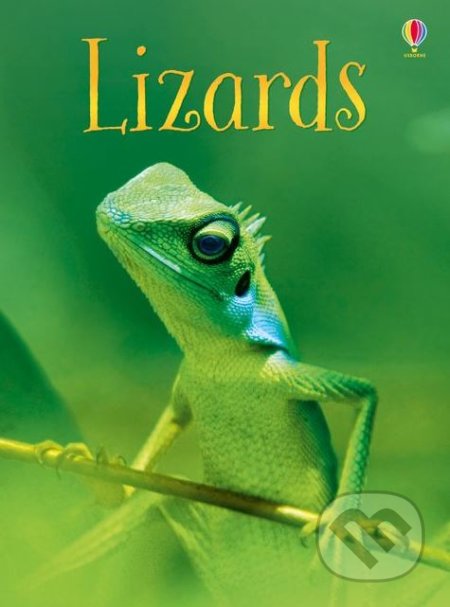 Lizards - James Maclaine, Paul Parker (ilustrácie), Usborne, 2018
