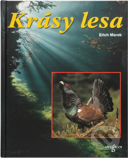 Kniha: Krásy lesa (Erich Marek a Werner Stoll). Anagram, 1999