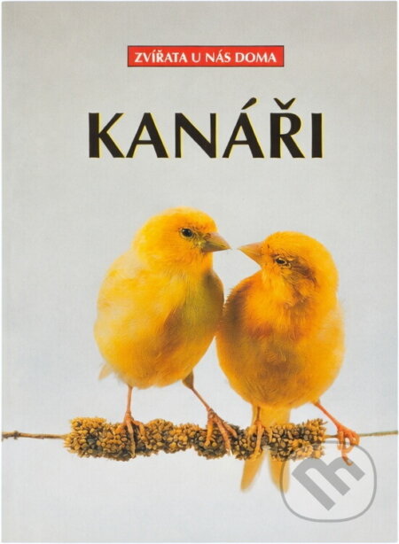 Kniha: Kanáři (Markus Hübl). , 1999