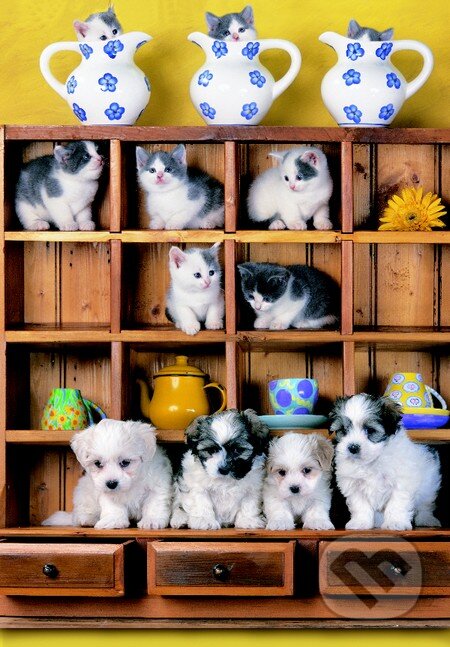 Puppies on Dresser - Leanne Giblett, Crown & Andrews