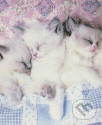 Sleepytime Kittens - Leanne Giblett, Crown & Andrews