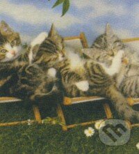 Deck Chair Kittens - Leanne Giblett, Crown & Andrews