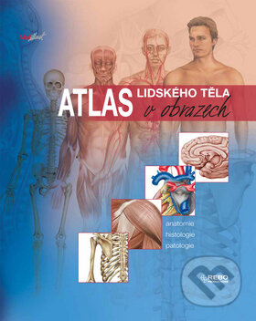 Atlas lidského těla v obrazech - Kolektív autorov, Rebo, 2008