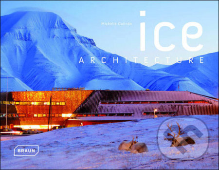 Ice Architecture - Michelle Galindo, Braun, 2008