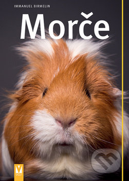 Morče - Immanuel Birmelin - kniha z kategorie Chov hlodavců