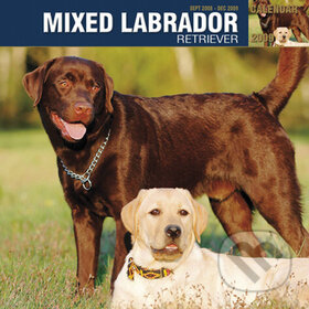 Mixed Labrador 2009, Cure Pink, 2008