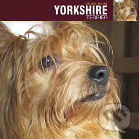 Yorkshire Terrier 2009, Cure Pink, 2008