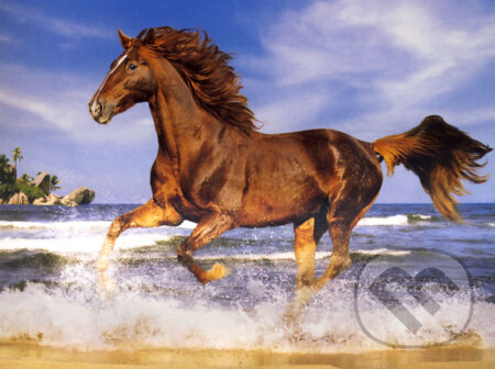 Kôň na pláži, Castorland