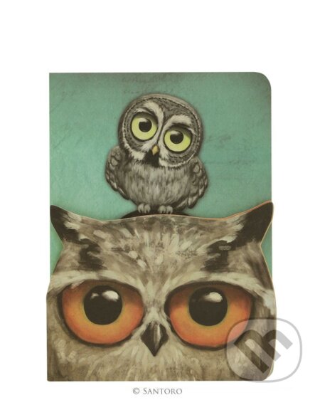 Santoro zošity Book Owls (Santoro)
