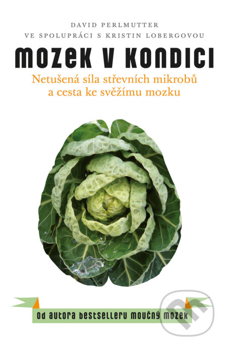 E-kniha: Mozek v kondici (David Perlmutter)