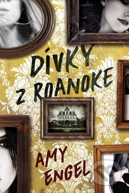E-kniha: Dívky z Roanoke (Amy Engel)