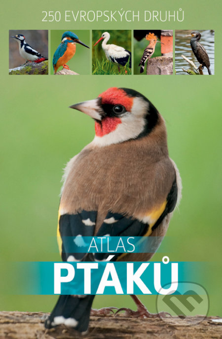 Atlas ptáků, Bookmedia, 2019