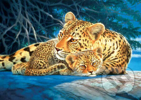 Leopardi - Joh Naito, Schmidt