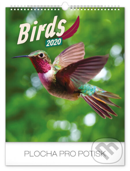 Nástěnný kalendář Birds 2020, Presco Group, 2019