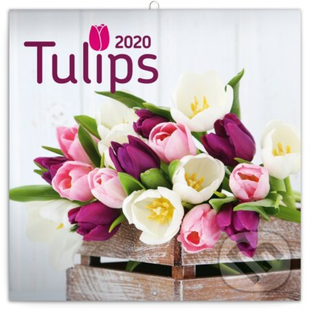 Poznámkový kalendář / kalendár Tulips 2020, Presco Group, 2019
