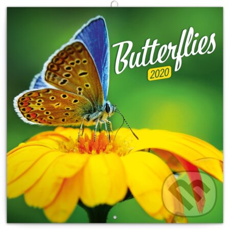 Poznámkový kalendář / kalendár Butterflies 2020, Presco Group, 2019