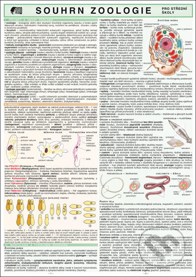 Souhrn zoologie pro strední školy - Petr Koubek - kniha z kategorie Gymnázia