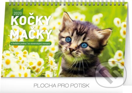 Stolní kalendář Kočky – Stolový kalendár Mačky 2020, Presco Group, 2019