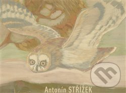 Antonín Střížek - Martin Dostál - kniha z kategorie Umění, design a architektura