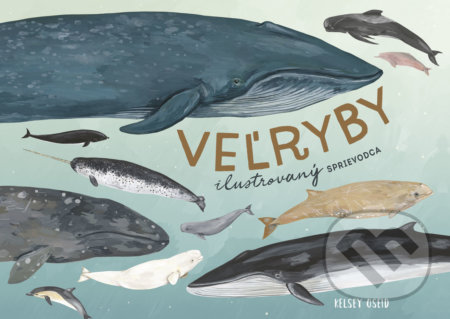 Veľryby: ilustrovaný sprievodca - Kelsey Oseid, Ikar, 2019