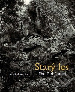Starý les / The Old Forest - Vladimír Bichler, Kant, 2019