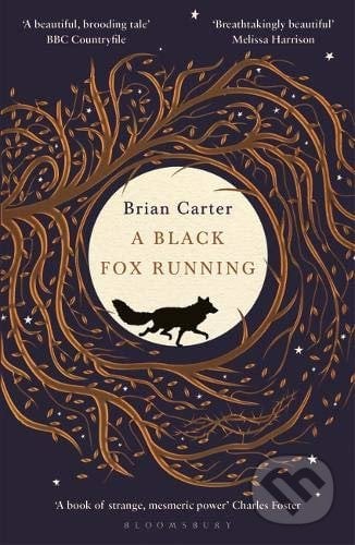 A Black Fox Running - Brian Carter, Bloomsbury, 2019