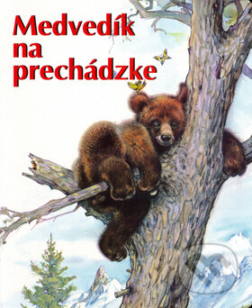 Medvedík na prechádzke, Agentúra Cesty, 2006