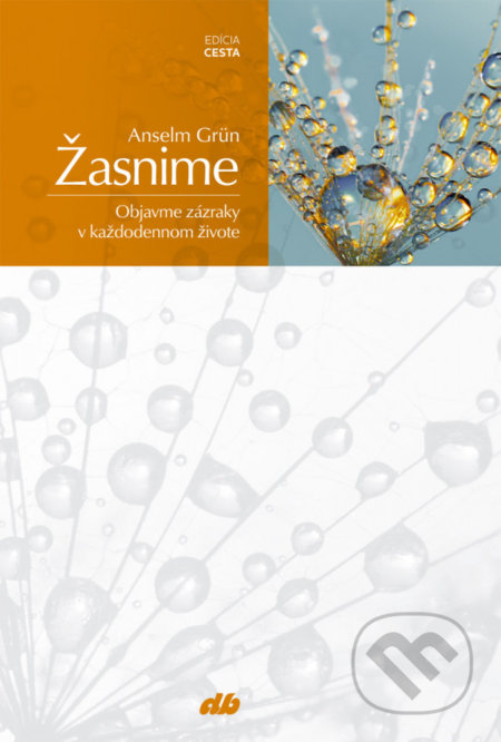Žasnime (Objavme zázraky v každodennom živote) - Anselm Grün - kniha z kategorie Pozitivní myšlení