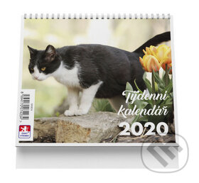 Kočka - stolní kalendář mini 2020, VIKPAP, 2019