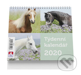 Koně - stolní kalendář mini 2020, VIKPAP, 2019
