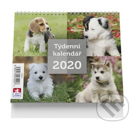 Pes - stolní kalendář mini 2020, VIKPAP, 2019