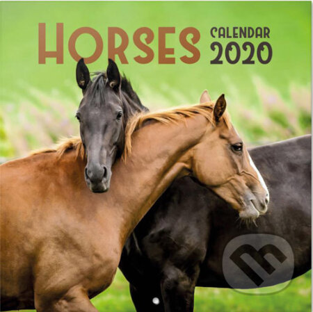 Kalendář 2020 16 měsíců: Koně, , 2019