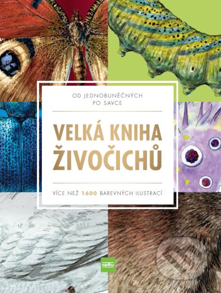 Velká kniha živočichů - Kolektiv autorů, Príroda, 2019