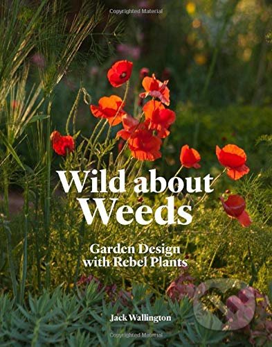 Wild about Weeds (Garden Design with Rebel Plants) - kniha z kategorie Dům, byt a zahrada