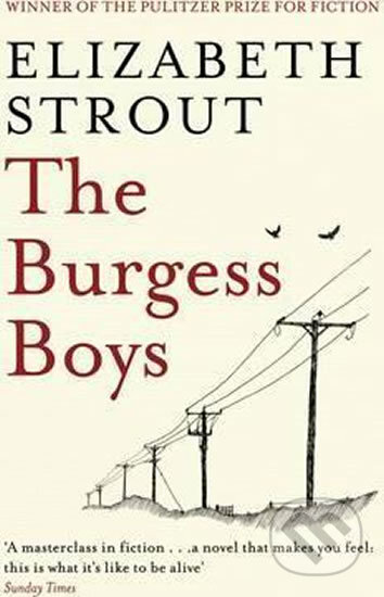 The Burgess Boys - Elizabeth Stroutová, Simon & Schuster