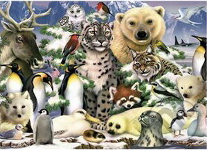 Animals in the Snow, Jumbo