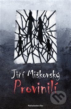Provinilí - Jiří Miškovský - kniha z kategorie Společenská beletrie