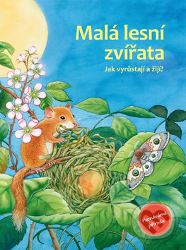 Malá lesní zvířata - Friederun Reichenstetter, Hans-Günther Döring (Ilustrácie), Bookmedia, 2019