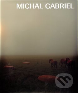 Michal Gabriel - kniha z kategorie Umění, design a architektura