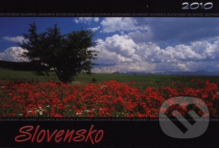 Slovensko 2010, Spektrum grafik, 2009