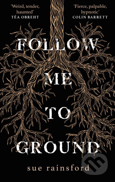 Follow Me To Ground - Sue Rainsford, Doubleday, 2019