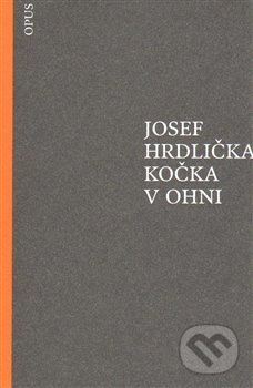 Kočka v ohni - Josef Hrdlička - kniha z kategorie Poezie