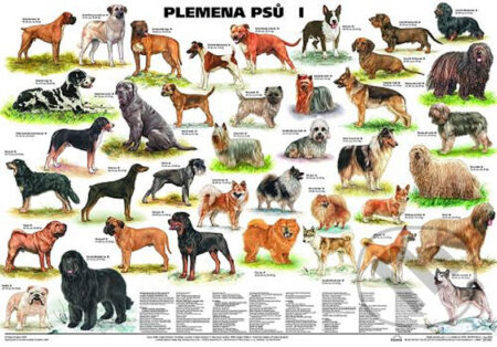 Plakát - Plemena psů I, Scientia, 2019