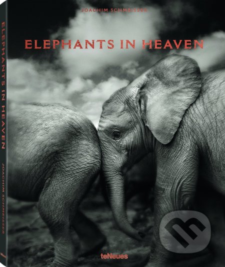 Elephants in Heaven - Joachim Schmeisser - kniha z kategorie Fotografie