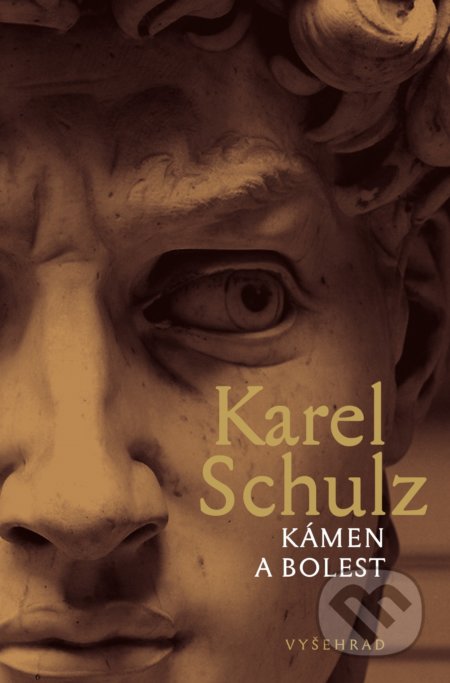 Kámen a bolest - Karel Schulz, Vyšehrad, 2020