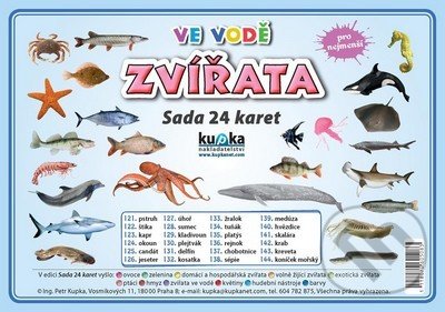 Zvířata ve vodě - Sada 24 karet - kniha z kategorie Naučné knihy