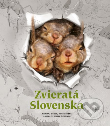 Zvieratá Slovenska - Mariana Hyžná, Fortuna Libri, 2019