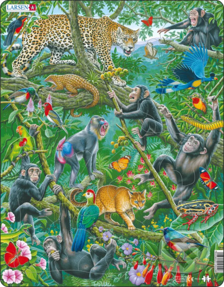 Africký dažďový les FH41 - puzzle z kategorie Naučné puzzle