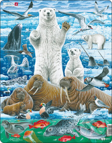 Ľadový medveď a mrož FH42, Larsen, 2020